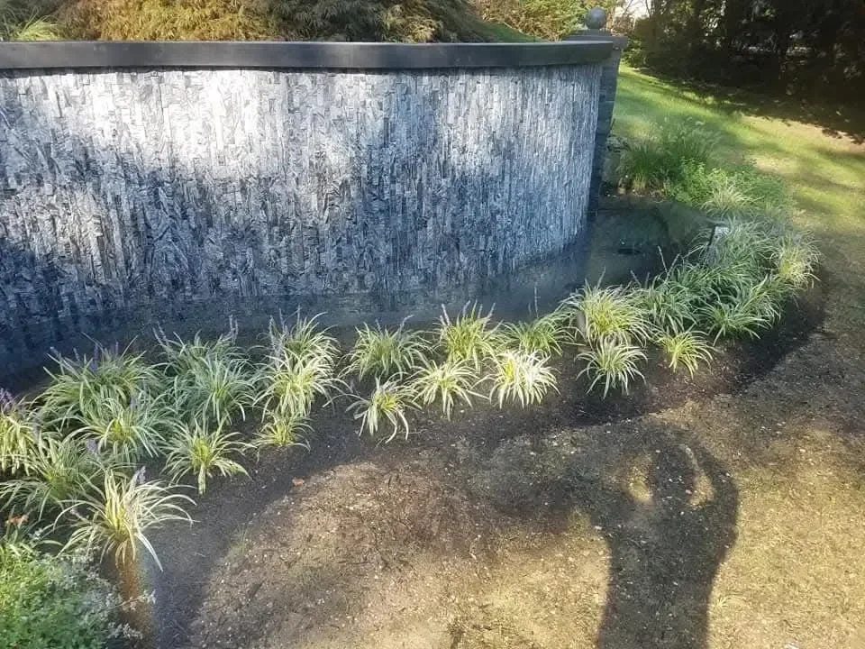 A curved wall featuring a dark, textured stone facade is surrounded by newly planted ornamental grasses in a prepared garden bed.