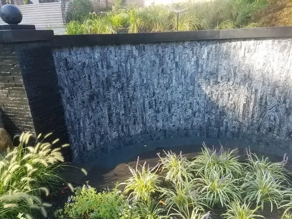 A curved, textured dark stone water wall flows into a basin surrounded by lush green and yellow ornamental grasses under bright sunlight.
